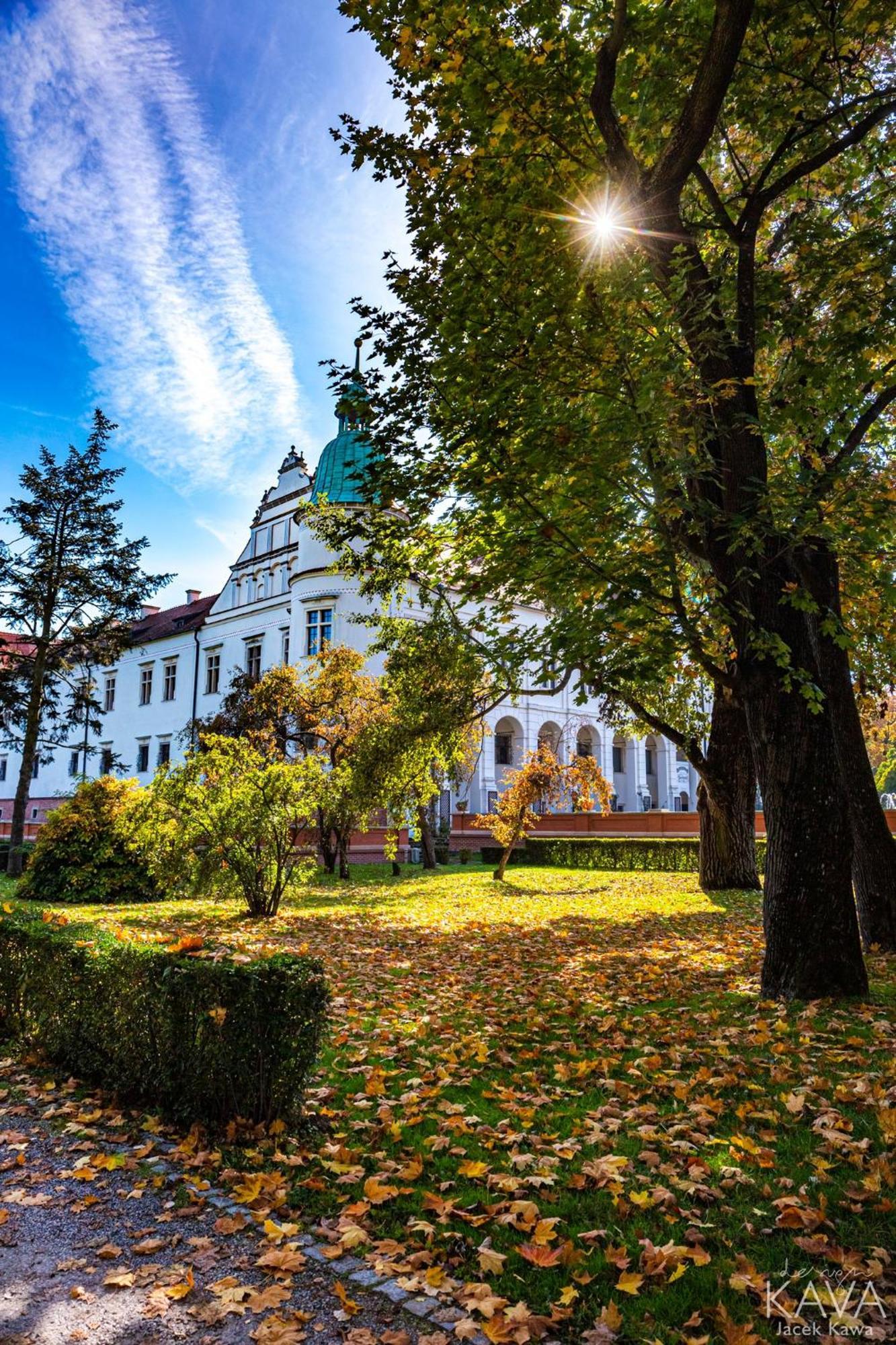 Zamek W Baranowie Sandomierskim Baranow Sandomierski Bagian luar foto